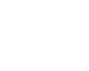 Ruban Bleu Autocars